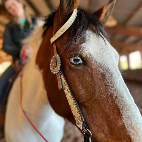 ABOUT ME!!! - Picture 7 of 13